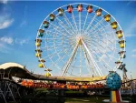 Imagem principal do artigo Parques de diversão no Brasil: confira 6 opções para todas as idades